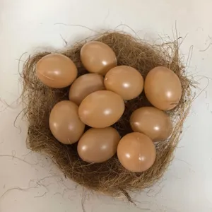 Set van kunstmatige bruine eieren in een natuurlijk stroonest voor Pasen handwerk.