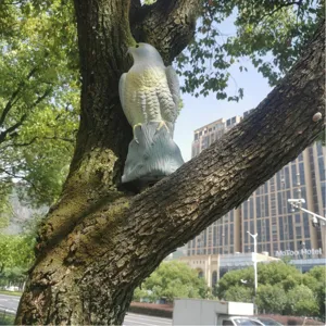 Leurre réaliste de faucon pour le contrôle des oiseaux sur une branche d'arbre.