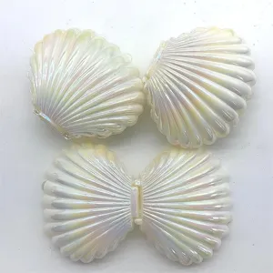 Boîtes cadeaux nacrées en forme de coquillage avec un design articulé brillant.
