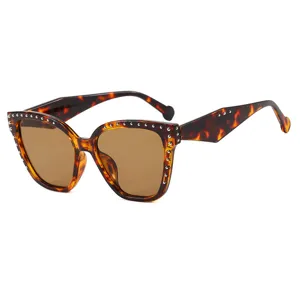 Stylish tortoiseshell cat-eye glasses with silver rivet studs on a white background