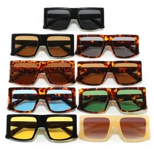 Sammlung von neun quadratischen übergroßen Sonnenbrillen in Schwarz und Tortoise