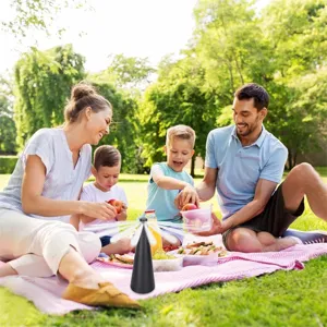 Portable outdoor automatic fly repellent fan, desktop battery powered pest repeller tool.