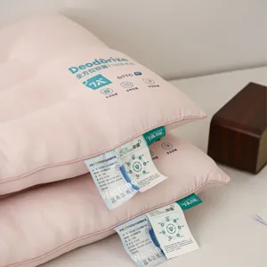 Minimalistisch Polyester Tencel Antibacterieel Kussenbinnenwerk Nekondersteuning Rechthoekig Bedkussen Voor Volwassenen Thuis School Slaapzaal Slapen