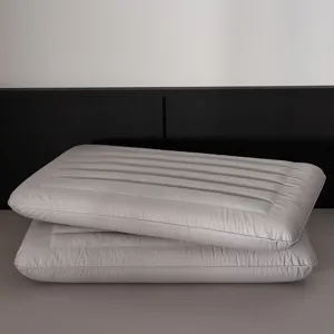 Set di due cuscini in memory foam di cotone grigio con rimbalzo lento qualità hotel