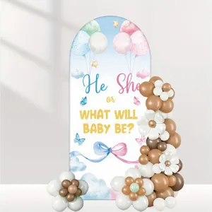 Gender reveal party arched backdrop cover with balloons clouds design for baby shower.