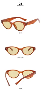 Λεπτομερείς όψεις vintage καφέ γυαλιών ηλίου cat-eye με κίτρινους φακούς από διάφορες γωνίες