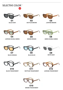 Colección de gafas de sol vintage con montura rectangular pequeña en 13 colores de moda