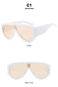 Nuevas gafas de sol de una pieza estilo europeo 2025, elegantes y modernas para sol.