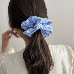 Dettaglio ravvicinato di un elastico a righe blu fresche su una coda di cavallo liscia