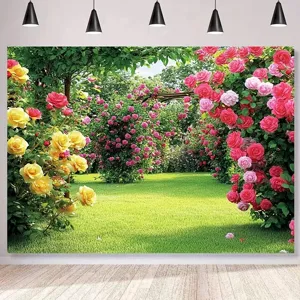 Fond de photographie de jardin de roses romantiques pour mariage et décoration.