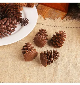Close-up view of decorative plastic brown pinecones and spruce flower ornaments for DIY