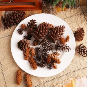 Assorted artificial pine cones on a white plate for rustic Christmas DIY home decoration