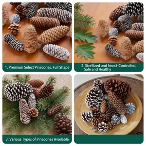 Assorted natural pinecones for Christmas DIY wreaths and crafts decoration