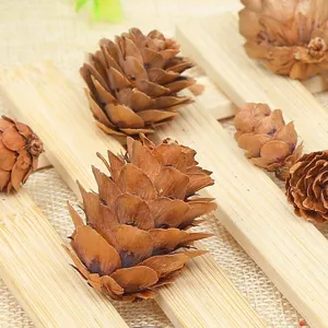 Macro view of assorted natural dried pine cones for festive DIY Christmas decorations
