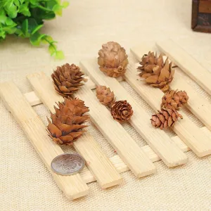 Detailed view of assorted natural pine cones for rustic Christmas DIY decorations