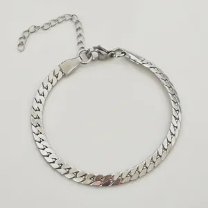 Gedetailleerd macro-overzicht van roestvrijstalen platte slangenketting armband met verlenging