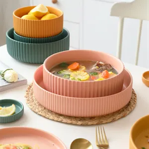 Set di stoviglie nordiche in ceramica Morandi con eleganti ciotole e piatti testurizzati