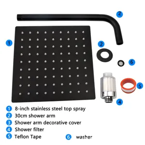 Comprehensive set including 8-inch matte black stainless steel shower head and filter kit