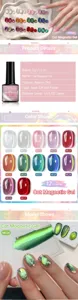 Dettagli prodotto e palette a 12 colori per smalto LILY'CUTE Cat Magnetic Gel.
