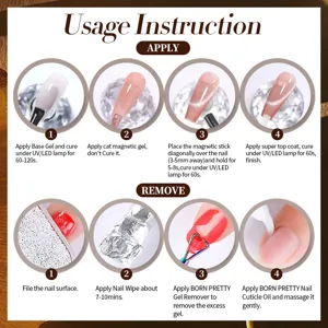 Detailed usage instructions for BORN PRETTY ice crystal cat eye nail polish gel set.