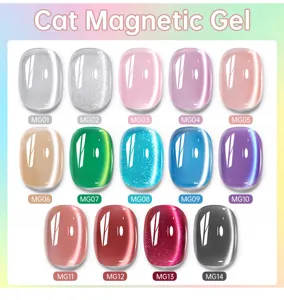 Colección de 14 colores de esmalte de uñas en gel magnético ojo de gato con códigos