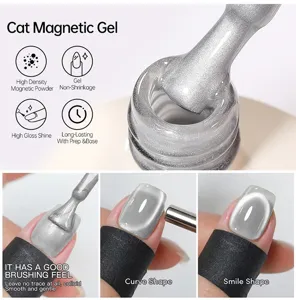 Vernis à ongles gel magnétique œil de chat argenté avec effets magnétiques et détails