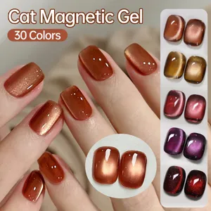 Présentation de vernis gel magnétique œil de chat avec 30 couleurs scintillantes
