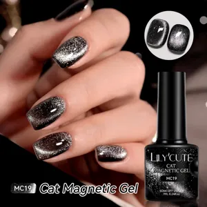 Zilverzwarte magnetische kattenoog gel nagellak voor professionele salon manicure