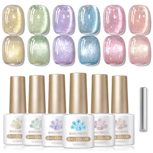 Detailed view of BORN PRETTY 6pcs set sparkling cat eye gel polish and magnet tool
