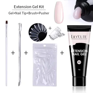 Lilycute Σετ Gel Επέκτασης Νυχιών Επαγγελματικό Κιτ Μανικιούρ Poly Gel Με Πινέλο Ατσάλινη Σπάτουλα Κλιπ Για DIY Σαλόνι Τέχνης Νυχιών