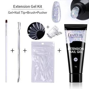 Επαγγελματικό σετ τζελ επιμήκυνσης Lily'Cute 15g με πινέλο, tips και μεταλλικό ωθητή