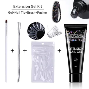 Σετ τζελ επέκτασης νυχιών με τζελ γκλίτερ 15g, tips, πινέλο και εργαλείο ώθησης