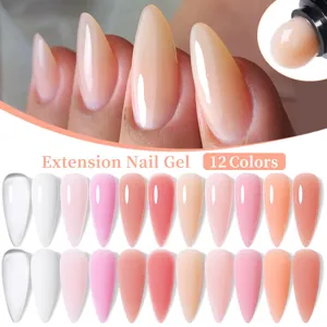 Professionelles 12 Farben Nagelverlängerungsgel Kit für schnellen Kristallbau und Maniküre