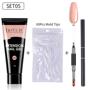Ολοκληρωμένο σετ τζέλ επέκτασης νυχιών Lily'Cute 15g με 60 tips και διπλό πινέλο