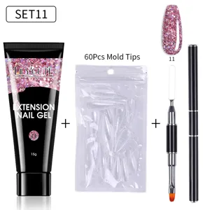 Πλήρες σετ επέκτασης νυχιών με glitter gel, 60 tips και εργαλείο πινέλου διπλής όψης