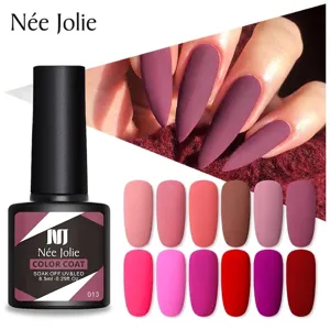 Affichage détaillé du kit de vernis à ongles mat Nee Jolie avec nuancier riche