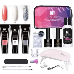 Kit professionale per gel unghie con gel da 15ml, mini lampada UV e accessori manicure