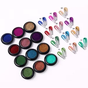 Set Profesional de 11 Polvos para Uñas Cromado Metálico con Muestras Efecto Espejo Brillante