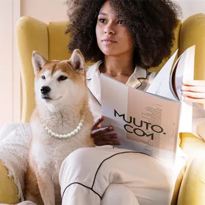 Elegant white pearl necklace for dogs worn by a Shiba Inu in a cozy lifestyle scene.