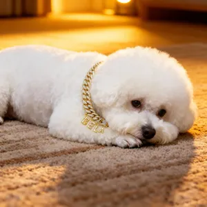 Nahaufnahme eines goldenen Panzerhalsbandes mit glänzenden Buchstabenanhängern für Hunde.