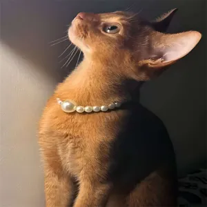 Detailopname van een elegante parelhalsband voor katten gedragen door een rode kat