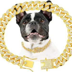 Detailansicht eines luxuriösen 12mm goldfarbenen Hundehalsbandes mit glänzenden Strasssteinen