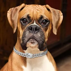 Silberne funkelnde kubanische Hundehalskette für Haustiere mit glänzenden Strasssteinen.
