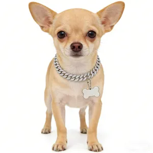 Close-up view of a luxury Cuban link pet collar with rhinestones on a small dog