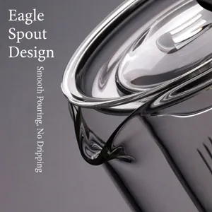 Vue rapprochée du bec verseur en bec d'aigle d'une théière en verre borosilicate
