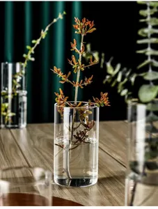 Primer plano de un jarrón de vidrio cilíndrico para plantas hidropónicas en mesa