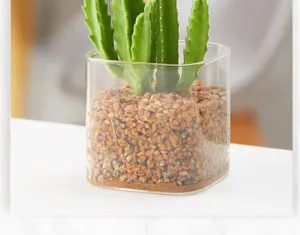 Detailopname van vierkante glazen plantenpot met succulent en steentjes