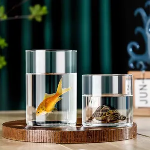 Vase Cylindre en Verre Borosilicate pour Plantes Hydroponiques Micro Paysage de Mousse Bouteille Décorative Transparente