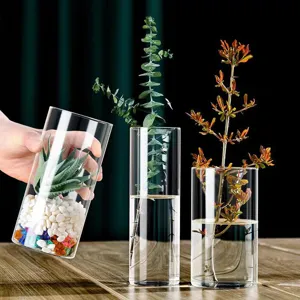 Vase cylindrique en verre borosilicaté pour plantes hydroponiques et décorations