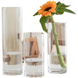 Lot de trois vases cylindriques en verre clair pour fleurs et hydroponie